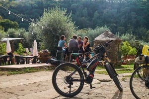 Tour in e-bike del Chianti Classico e della Toscana con pranzo in fattoria