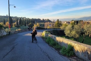 Florencja: wycieczka e-rowerem po Toskanii z winiarnią i degustacją win