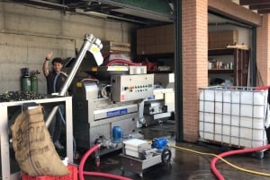 Emila-Romagna: Parmigiano, Prosciutto, Wine & Balsamic Tour