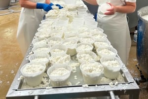 Emila-Romagna: Parmigiano, Prosciutto, Wine & Balsamic Tour