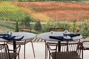 Emila-Romagna: Parmigiano, Prosciutto, Wine & Balsamic Tour