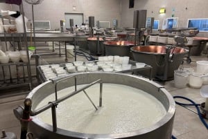 Emila-Romagna: Parmigiano, Prosciutto, Wine & Balsamic Tour