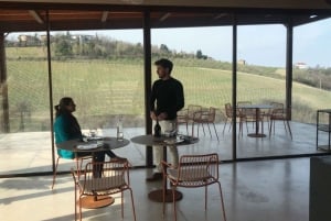 Emila-Romagna: Parmigiano, Prosciutto, Wine & Balsamic Tour