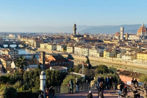 Entry Tickets to Brunelleschi's Cupola in Florence