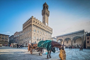Essential Florence Walking Tour tutustua sen historiaan