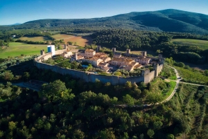 キャンティのワインとグルメを満喫するプライベート1日ツアー