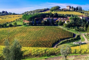 キャンティのワインとグルメを満喫するプライベート1日ツアー