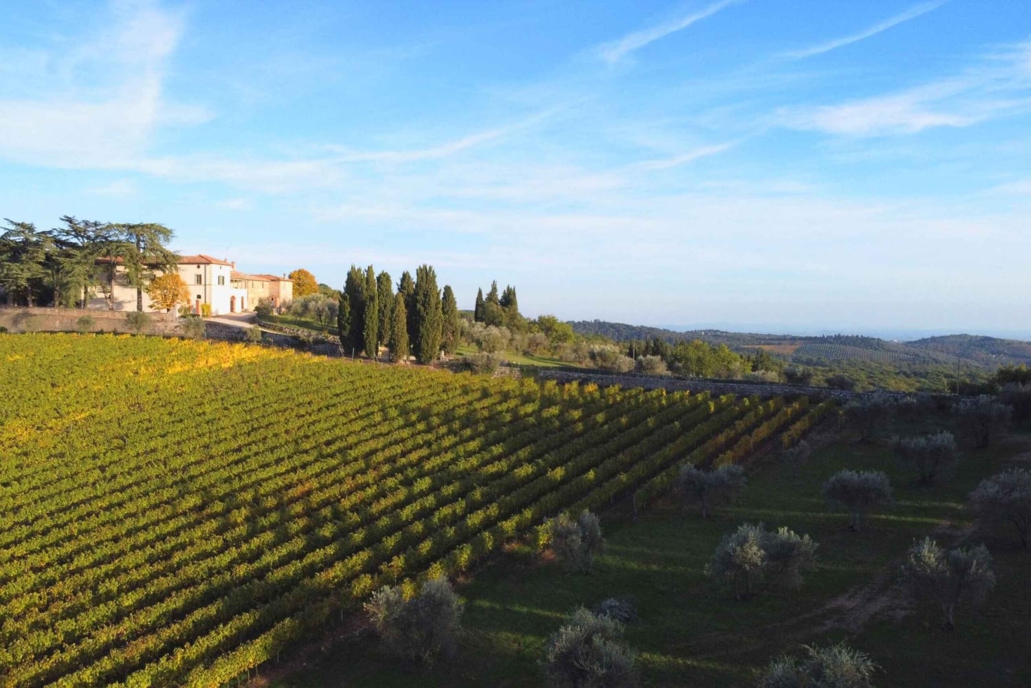 Exclusive Horseback Riding & Wine Tasting from Florence