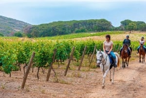 Exclusive Horseback Riding & Wine Tasting from Florence