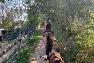 Exclusive Horseback Riding & Wine Tasting from Florence