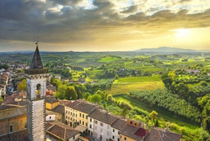 Firenze: Tour del centro storico per famiglie con museo Da Vinci opzionale