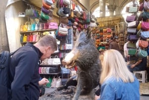 Fast Track Medici Chapel & Nova Sagrestia by Michelangelo