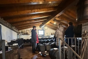 Ferrari-Museum, Parmesan-Käse, Balsamico-Essig Foodtour