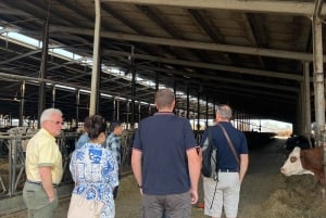 Ferrari-Museum, Parmesan-Käse, Balsamico-Essig Foodtour