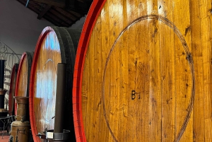 Ferrari, Parmesan, Balsamic, Wine tour from Florence+Lunch