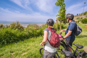 Fiesole E-cykeltur med olivenolie-smagning eller pool & chill