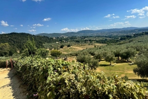 Fiesole E-cykeltur med olivenolie-smagning eller pool & chill