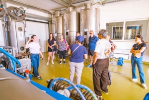 Fiesole E-cykeltur med olivenolie-smagning eller pool & chill