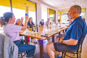 Fiesole E-cykeltur med olivenolie-smagning eller pool & chill