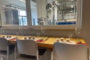 From Florence: Olive Oil Mill Tour and Tasting in Fiesole