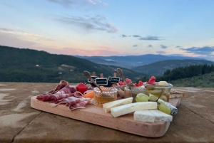 From Florence: Olive Oil Mill Tour and Tasting in Fiesole