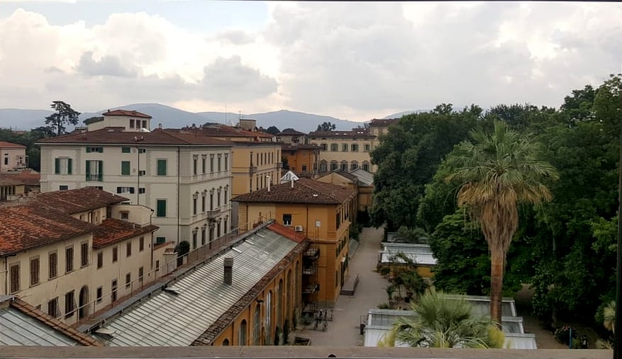 Flor in Florence