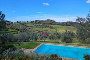 Florence: 2-Day Chianti E-Bike Adventure to Siena