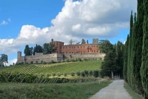 Florence: 2-Day Chianti E-Bike Adventure to Siena