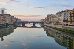 Florence : visite guidée à vélo de 2 heures