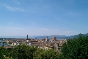Florence: 4-Hour Private Tour Including Uffizi & Accademia