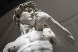 Florence: Accademia Gallery Guided Tour with Skip-the-Line