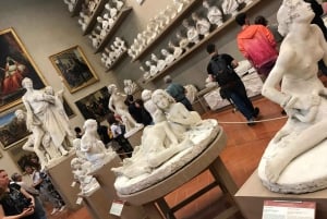 Florence: Academia Gallery Tour met voorrangsticket