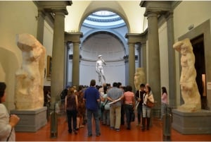 Firenze: Academia Galleria Tour with Skip-the-Line Ticket (Skip-the-Line-lippu)