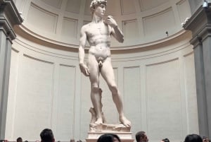 Firenze: Inngangsbillett til Accademia og David med en vert
