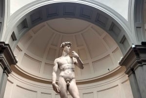 Florencia: Entrada a la Accademia y al David con Anfitrión