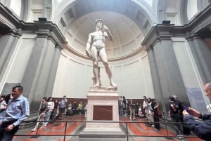 Firenze: Inngangsbillett til Accademia og David med en vert