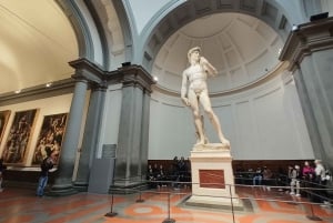 Firenze: Omvisning i Accademia, Brunelleschis kuppel og katedralen