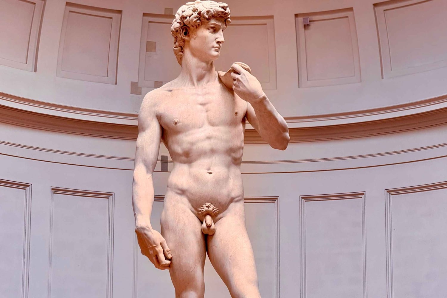 Florence: Accademia David Fast Track Skip the Line Tour