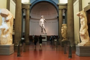 Florence: Accademia David Fast Track Skip the Line Tour