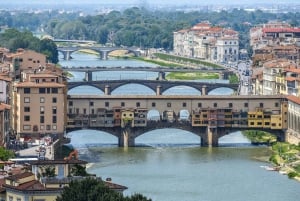 Florence: Accademia Fast-Track Entry Guided Tour