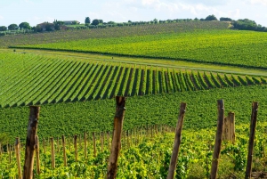Florence, Accademia Gallery, and Chianti Wine Full-Day Tour