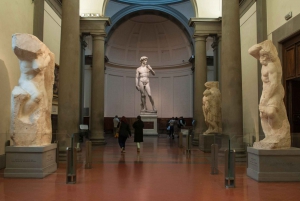 Florence: Accademia Gallery and Uffizi Gallery Guided Tour
