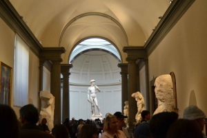 Florence: Accademia Gallery and Uffizi Guided Art Tour