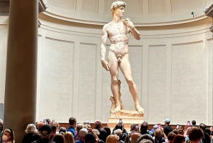 Firenze: Accademia Gallery & David Skip-the-Line -lippu