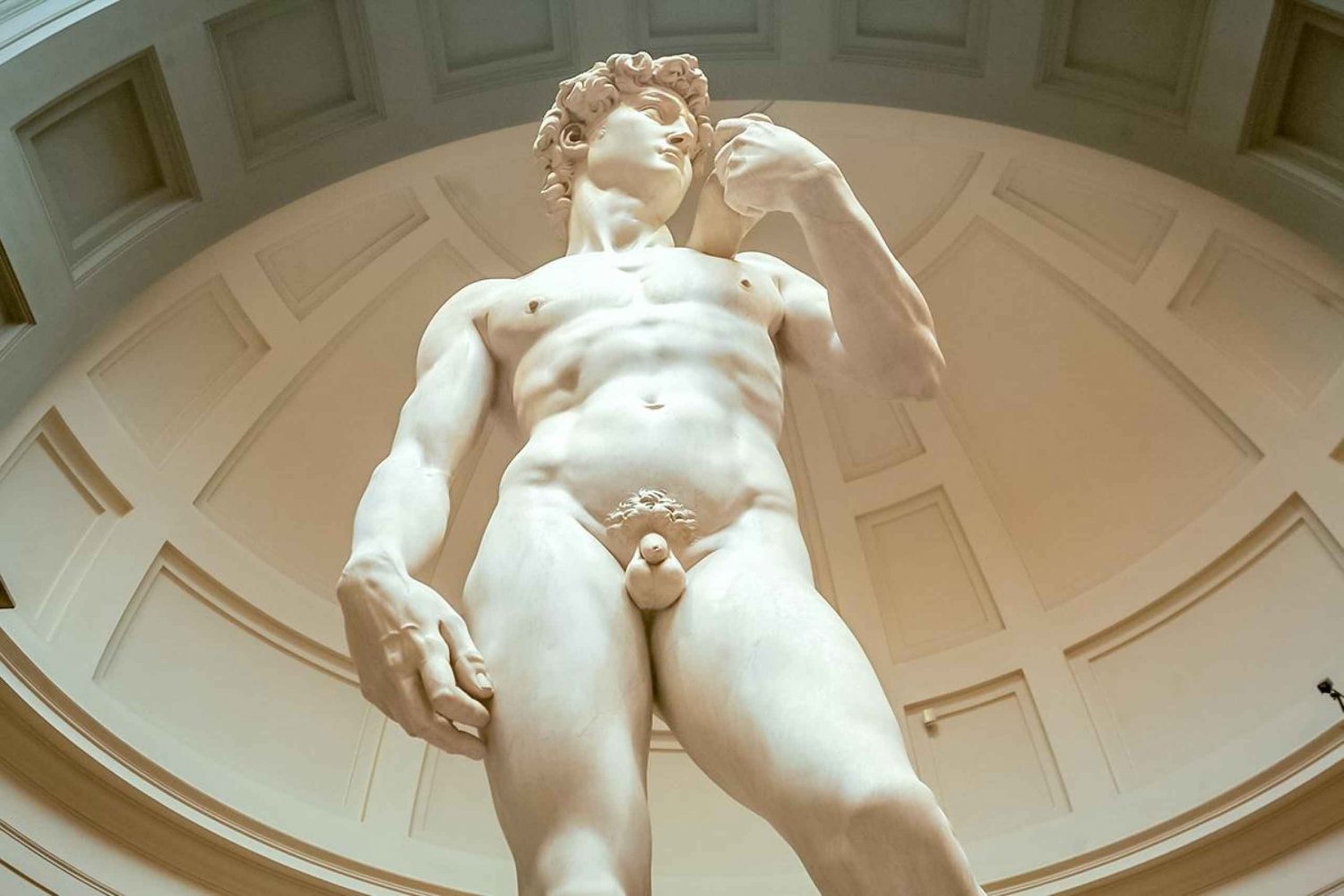 Florence : Billet d'entrée à la Galerie Accademia et visite guidée de David