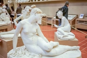 Florens: Inträde till Accademia-galleriet och David-tur