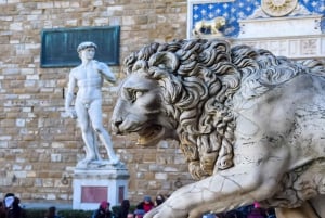 Firenze: Biglietto d'ingresso alla Galleria dell'Accademia e tour di David