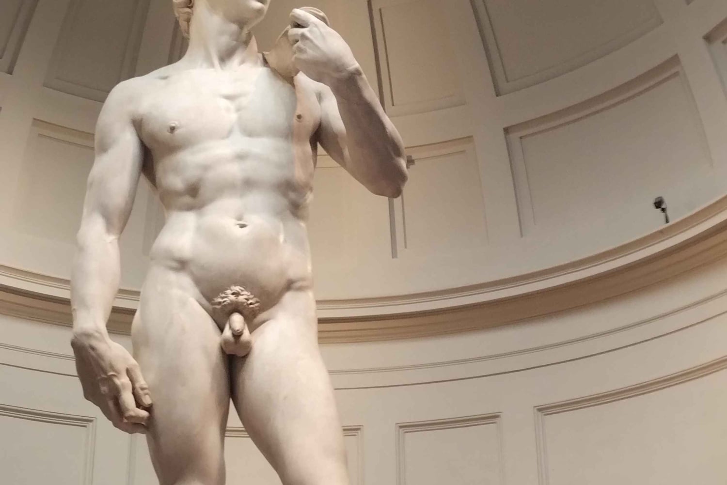 Firenze: Inngangsbillett til Accademia-galleriet og omvisning med David