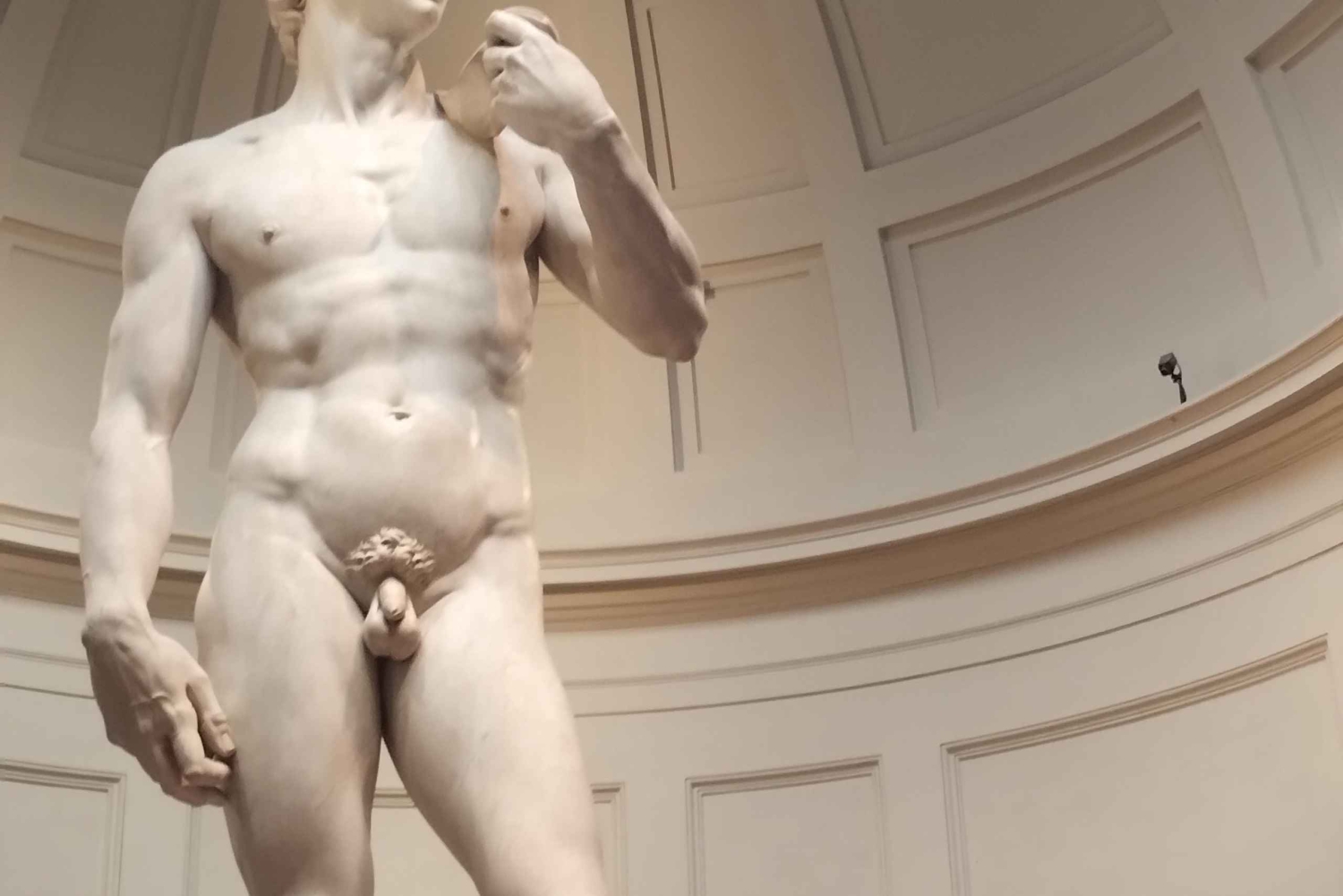 Firenze: Inngangsbillett til Accademia-galleriet og omvisning med David