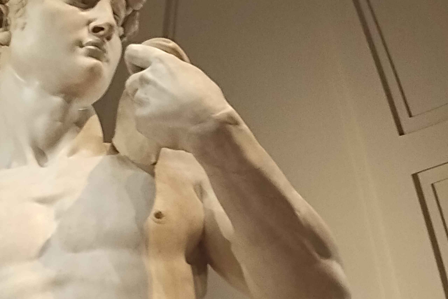 Firenze: Inngangsbillett til Accademia-galleriet og omvisning med David